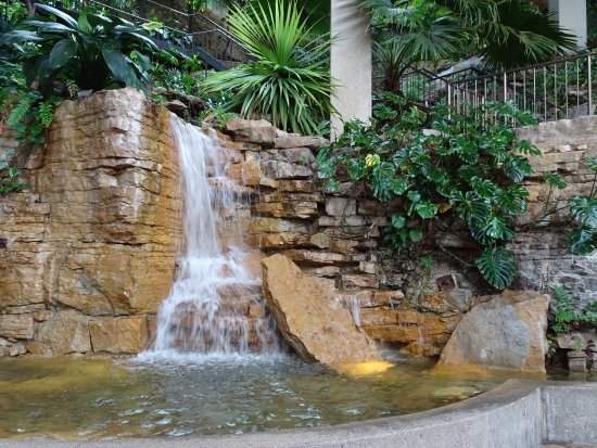 Waterfall at the Westin